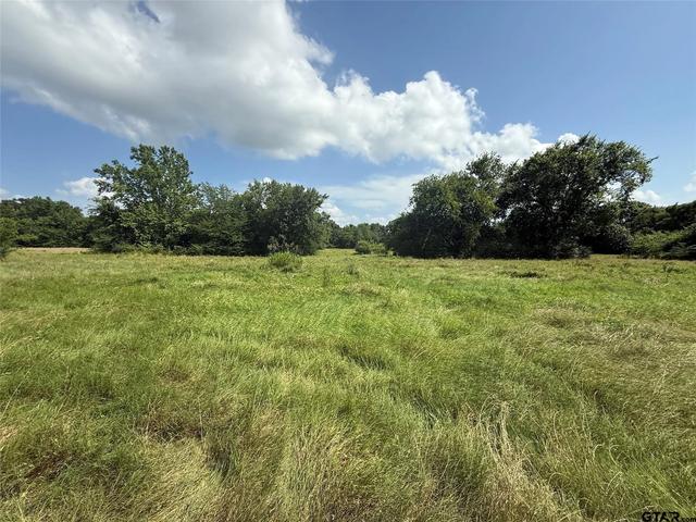 11591 S Farm Road 269 # -2, Pickton, TX 75471