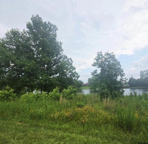 tbd Cr 2117, Quitman, TX 75783