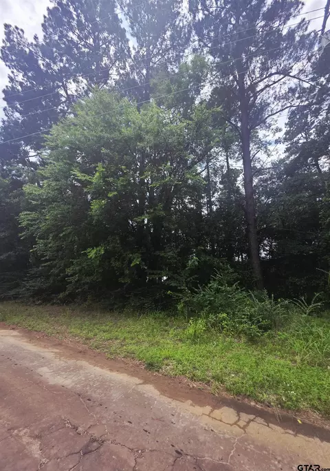 tbd Cr 2131, Quitman, TX 75783