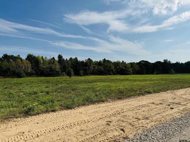 148 Private Rd 5296, Alba, TX 75410