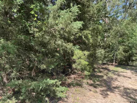 lot4 Cypress Creek Dr, Mount Vernon, TX 75457