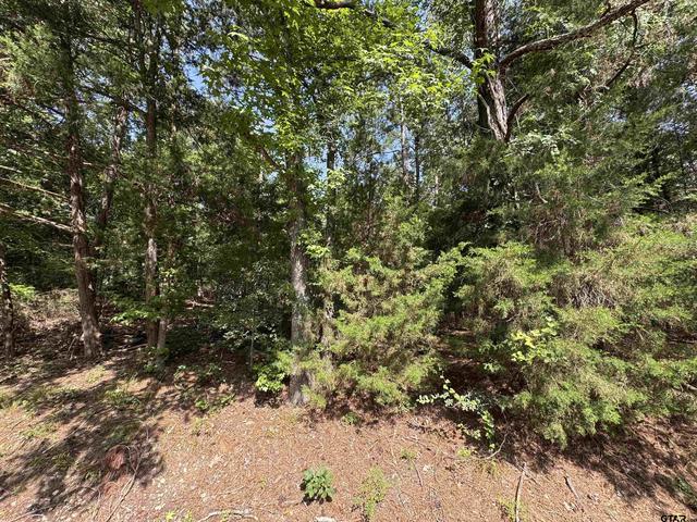 lot19 S Whispering Pine Trl, Mount Vernon, TX 75457