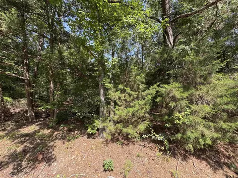 lot20 S Whispiering Pine Trl, Mount Vernon, TX 75457