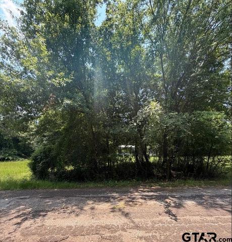 tbd Chadwick, Chandler, TX 75758