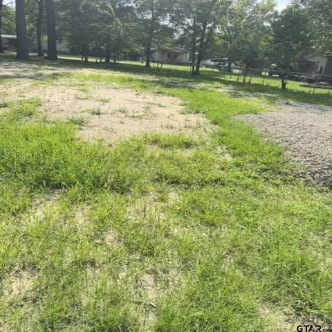 4954 Lost Pne, Larue, TX 75770