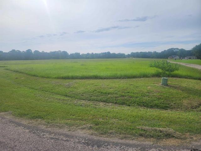 tbd Cr 2136, Pittsburg, TX 75686