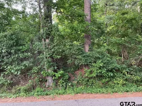 tbd County Road 4705, Troup, TX 75789