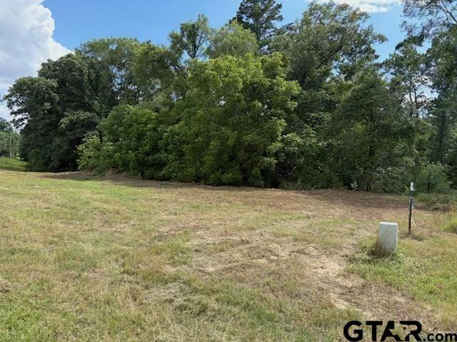 tbd Cypress Creek Dr, Diana, TX 75640