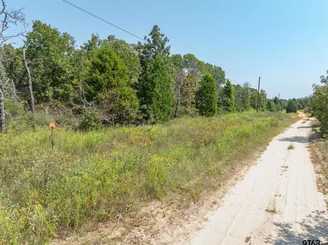 tbd Private Road 6926, Eustace, TX 75124 photo 7
