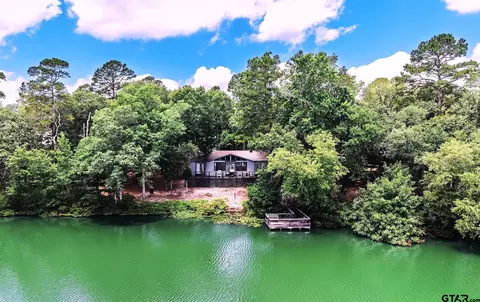 254 Cr 4595, Winnsboro, TX 75494