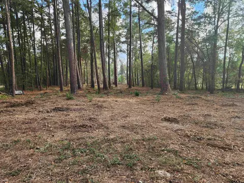 371 County Road 4152, Pittsburg, TX 75686