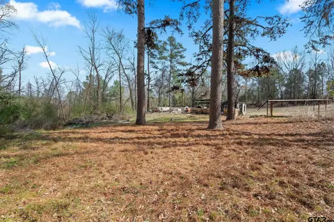 282 County Road 1100, Daingerfield, TX 75638