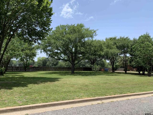 tbd Van Winkle Cir, Athens, TX 75751