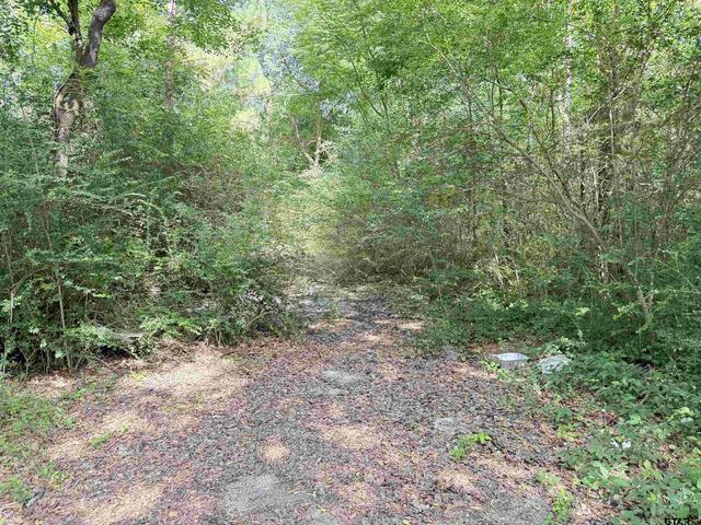 Brown St, Kilgore, TX 75662