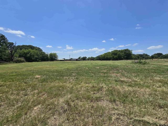 0 Vz County Road 1181, Grand Saline, TX 75140