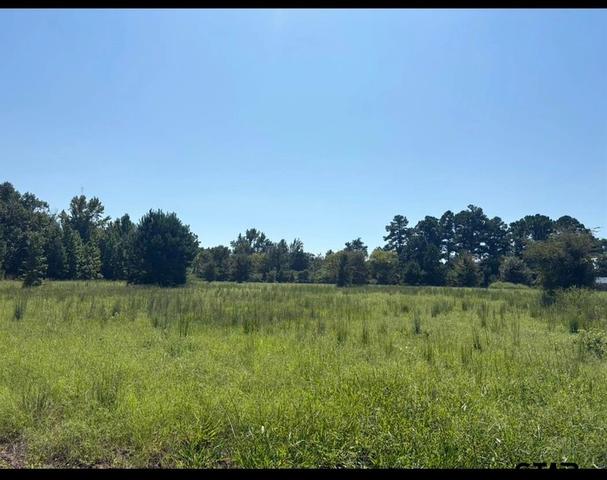 tbd Cr 192, Tyler, TX 75703
