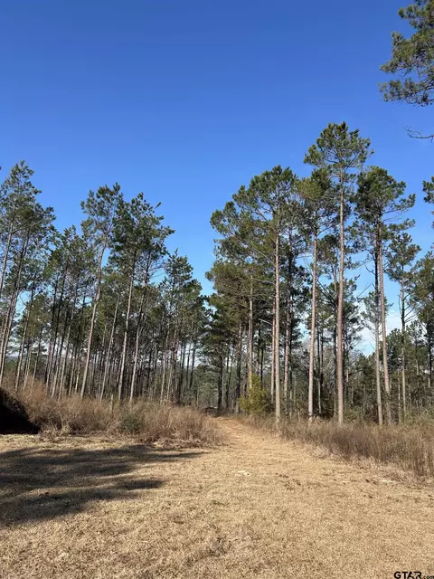 6446 Fm 752, Rusk, TX 75785