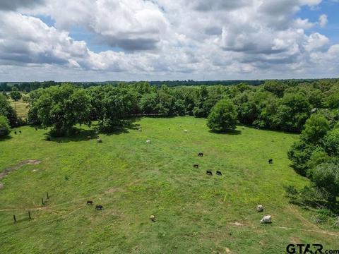4418 Fm 1000, Mount Pleasant, TX 75455