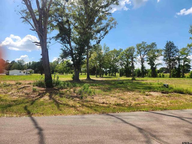 20034 Dews Ct #LOT 3, Troup, TX 75789