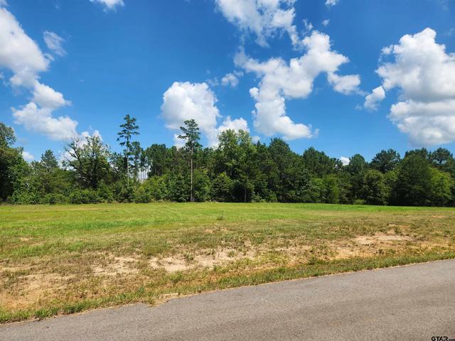 20035 Dews Ct #LOT 4, Troup, TX 75789
