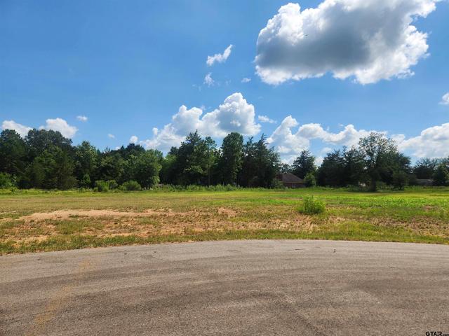 20048 Dews Ct #LOT 5, Troup, TX 75789