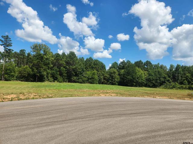 20047 Dews Ct #LOT 6, Troup, TX 75789