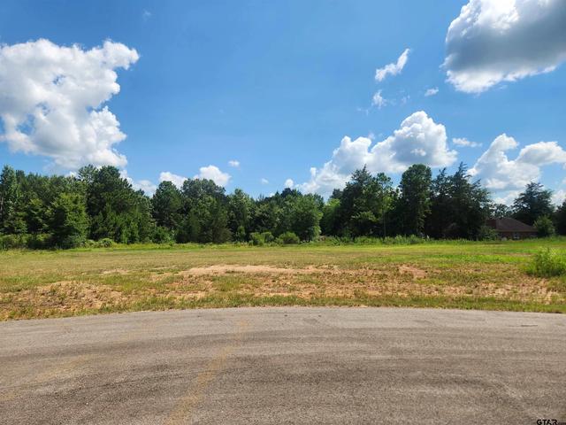20055 Dews Ct #LOT 7, Troup, TX 75789