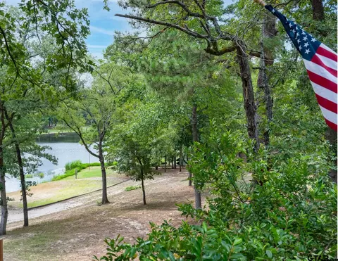 170 Wild Goose 221f, Holly Lake Ranch, TX 75765