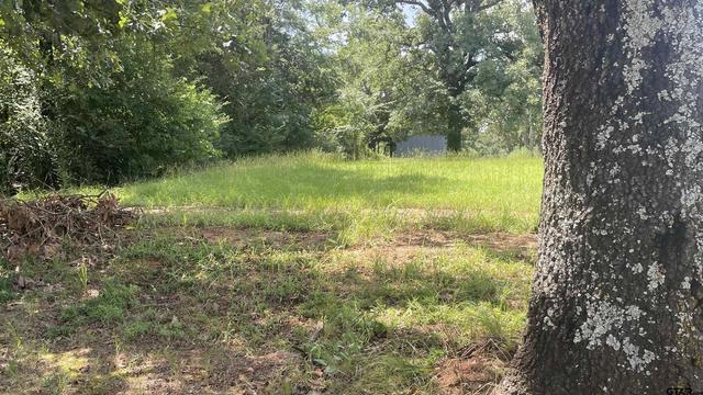 640 S Cr 4505, Winnsboro, TX 75494