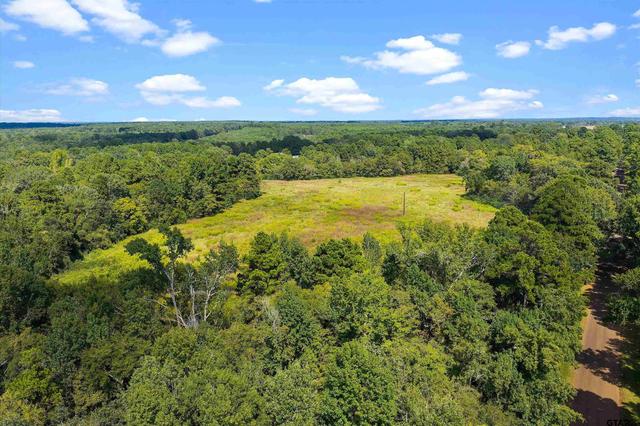 tbd W Cr 4187, Henderson, TX 75654