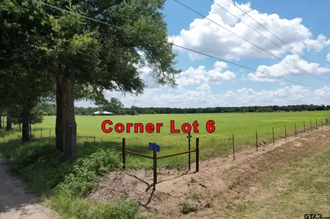 lot6 Vz Cr 3208, Wills Point, TX 75169