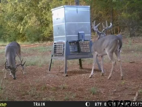 tbd C R 440, Lindale, TX 75771