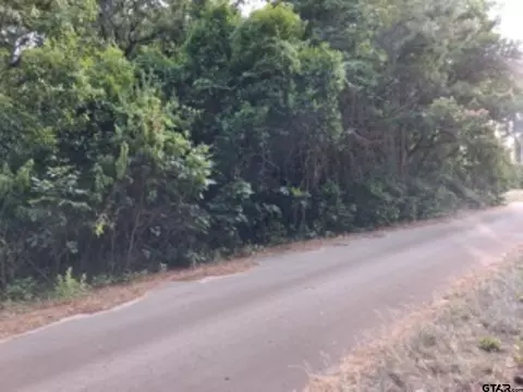 tbd Chapparal Run, Murchison, TX 75778