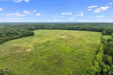 324 Ac Five Notch Rd, Marshall, TX 75670 photo 18