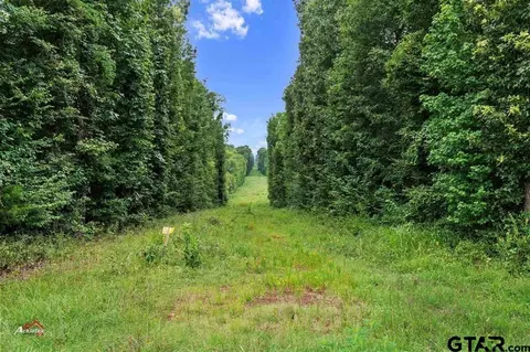 324 Ac Five Notch Rd, Marshall, TX 75670 photo 4