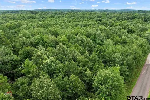 324 Ac Five Notch Rd, Marshall, TX 75670 photo 9