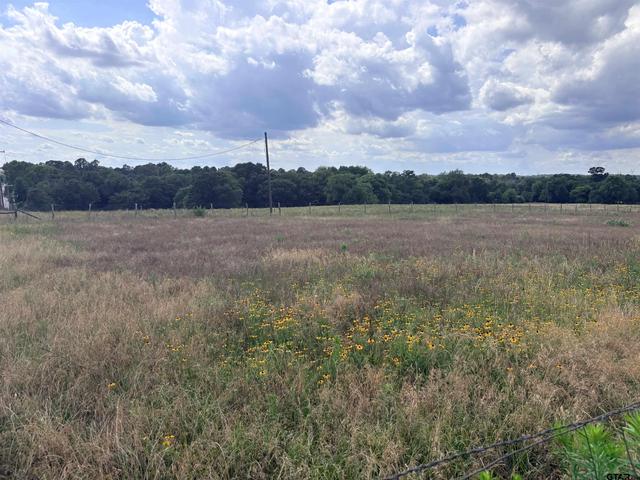 tbd County Road 1140, Tyler, TX 75709