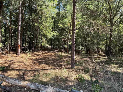 lot195 Green Meadow Trl, Holly Lake Ranch, TX 75765