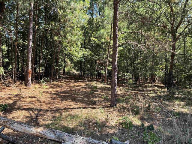 lot195 Green Meadow Trl, Holly Lake Ranch, TX 75765