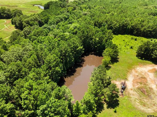 22356 County Road 2110, Troup, TX 75789