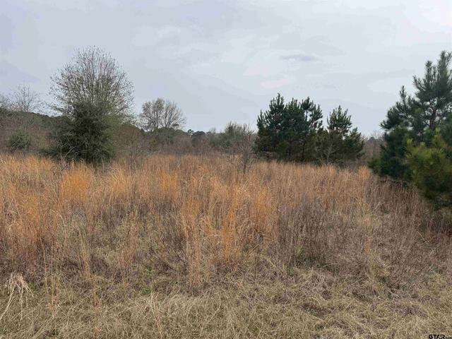 1335 San Saba, Bullard, TX 75757