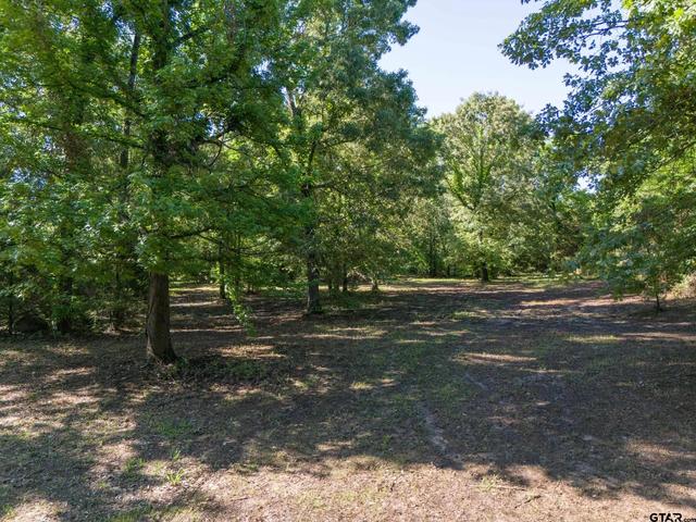 tbd Cr 1600, Alba, TX 75410