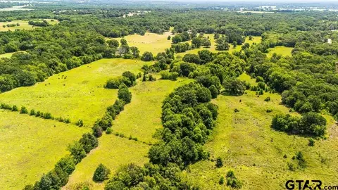 tbd Fm 773, Murchison, TX 75778 photo 8
