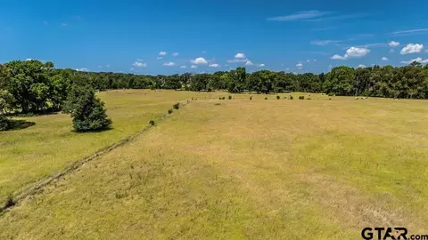 tbd Fm 773, Murchison, TX 75778 photo 11