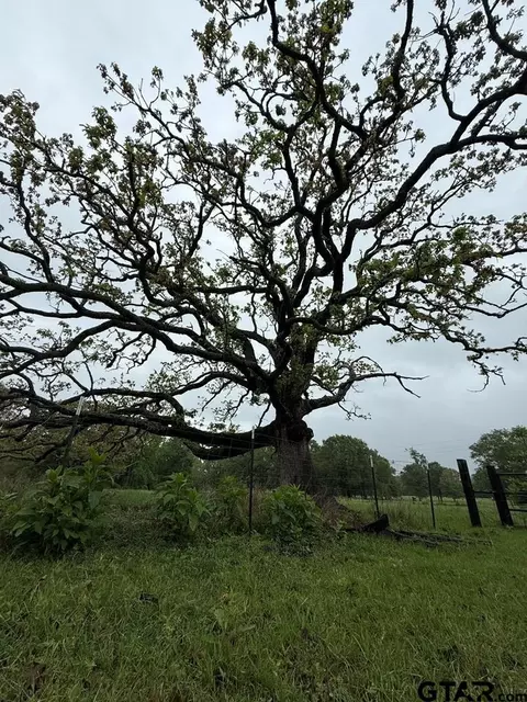 tbd Fm 773, Murchison, TX 75778 photo 27