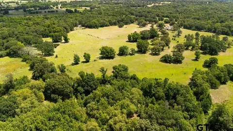 tbd Fm 773, Murchison, TX 75778 photo 20