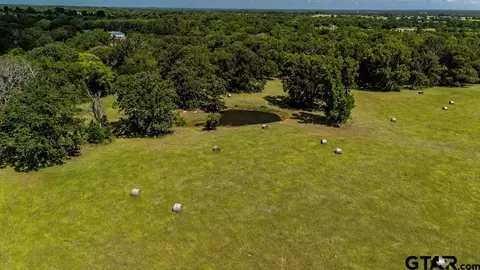 tbd Fm 773, Murchison, TX 75778 photo 5