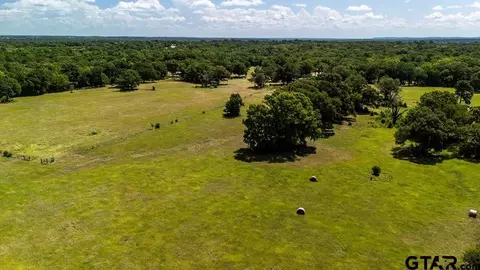 tbd Fm 773, Murchison, TX 75778 photo 6