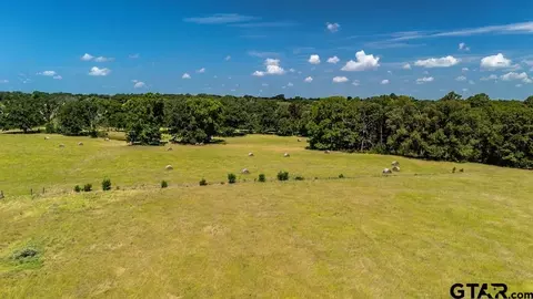 tbd Fm 773, Murchison, TX 75778 photo 3