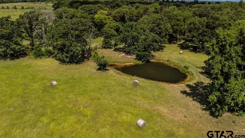 tbd Fm 773, Murchison, TX 75778 photo 4